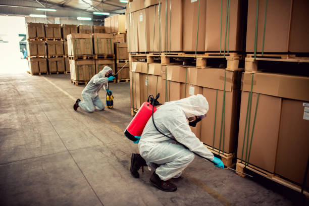 Best Termite Control Services  in Dilworth, MN