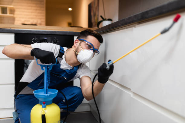 Best Best Pest Control Companies  in Dilworth, MN