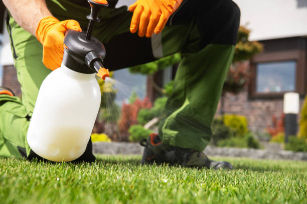 Best Local Pest Control Services  in Dilworth, MN
