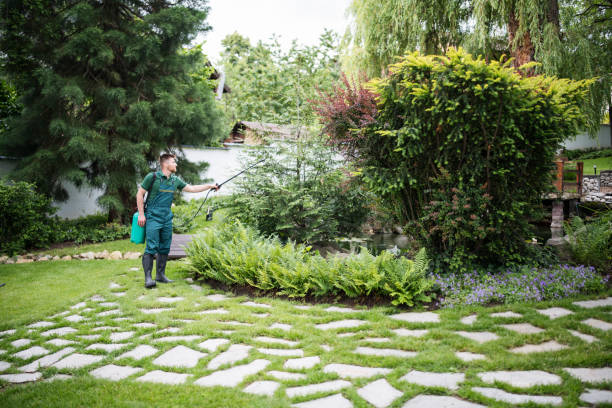 Best Emergency Pest Control  in Dilworth, MN
