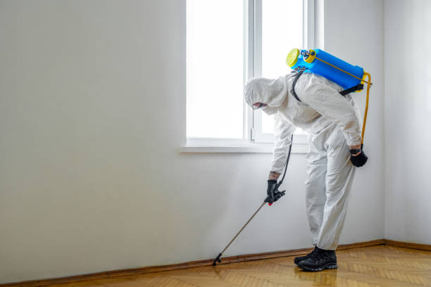 Professional Pest Control in Dilworth, MN